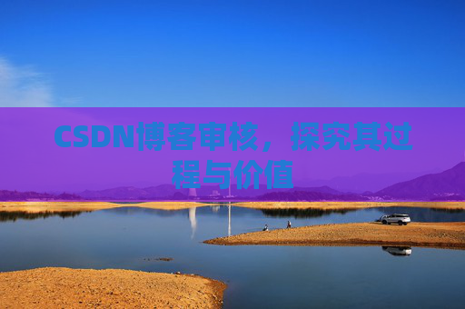 CSDN博客审核，探究其过程与价值